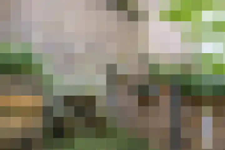 Pijkestraat 3 Nijmegen thumbnail 15