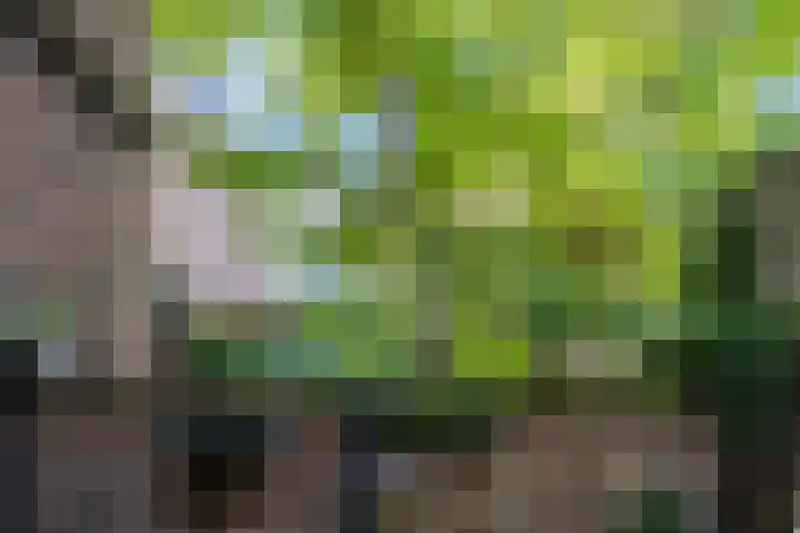 Pijkestraat 3 Nijmegen thumbnail 17