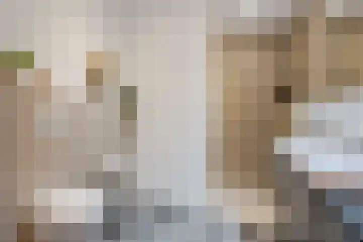 Pijkestraat 3 Nijmegen thumbnail 19