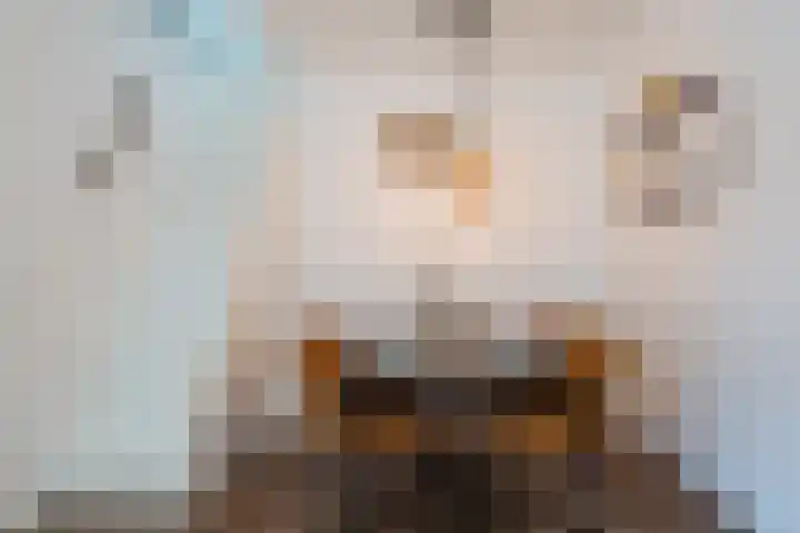 Pijkestraat 3 Nijmegen thumbnail 23