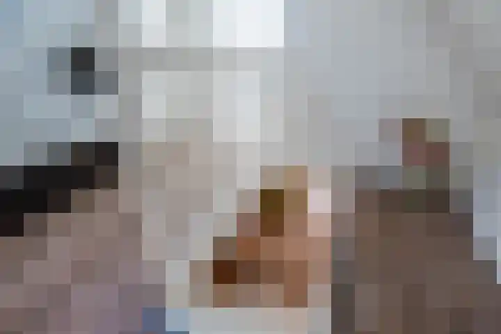 Pijkestraat 3 Nijmegen thumbnail 25