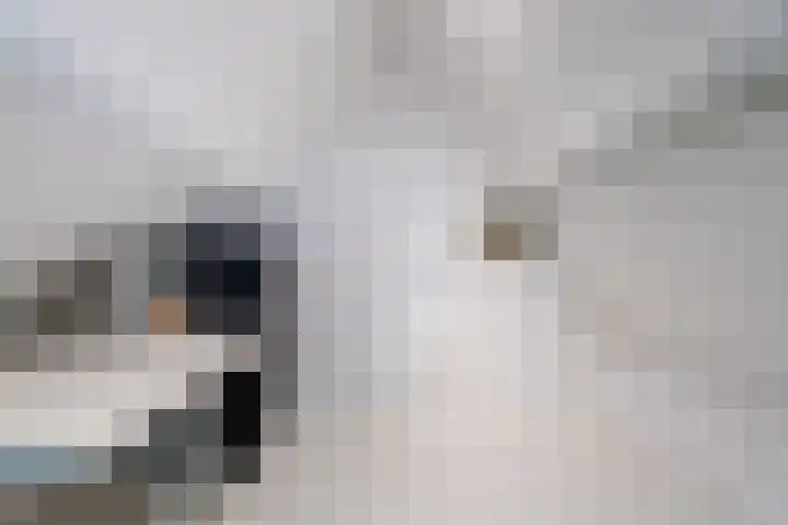 Pijkestraat 3 Nijmegen thumbnail 31