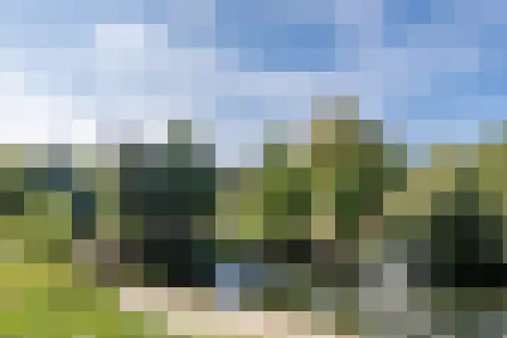 Pijkestraat 3 Nijmegen thumbnail 37