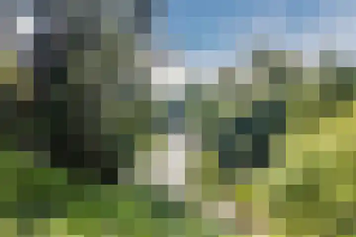 Pijkestraat 3 Nijmegen thumbnail 38