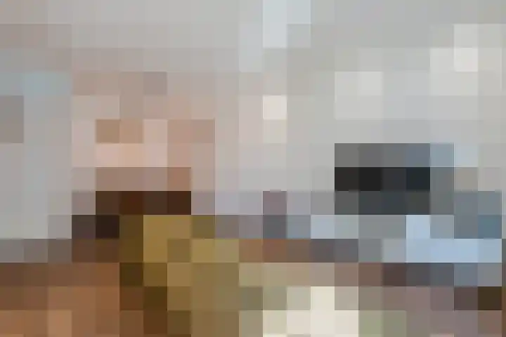 Pijkestraat 3 Nijmegen thumbnail 9