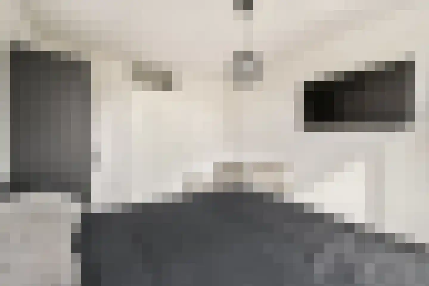 Pijl 75 Dordrecht thumbnail 16