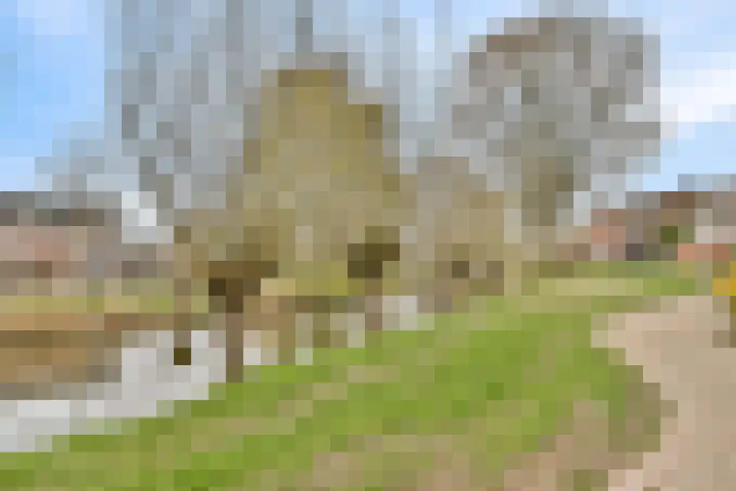 Pijl 75 Dordrecht thumbnail 28