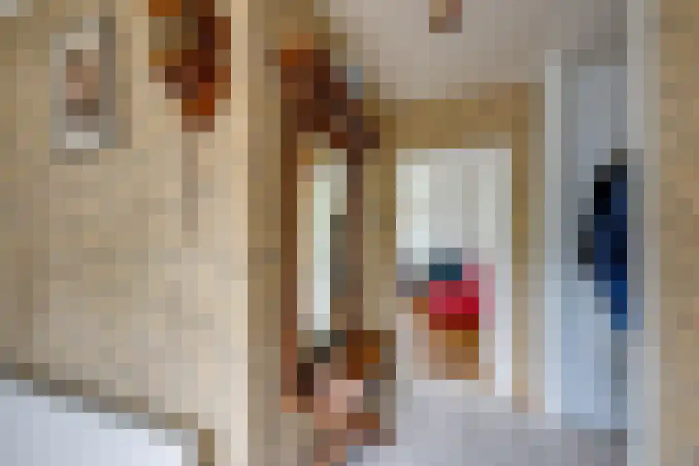 Pijlakker 16 Udenhout thumbnail 14