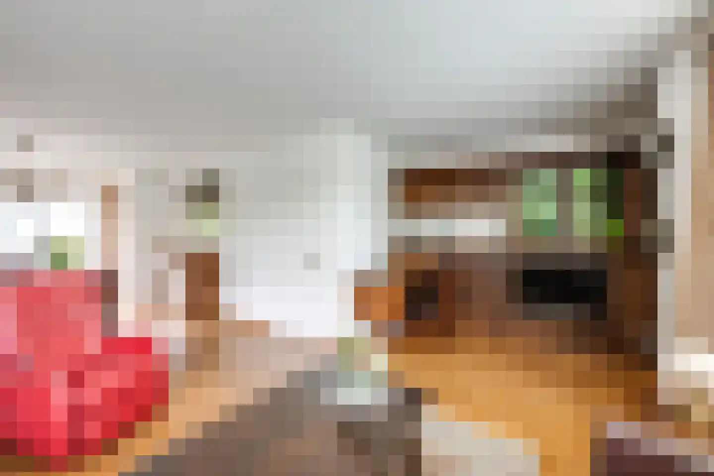 Pijlakker 16 Udenhout thumbnail 16