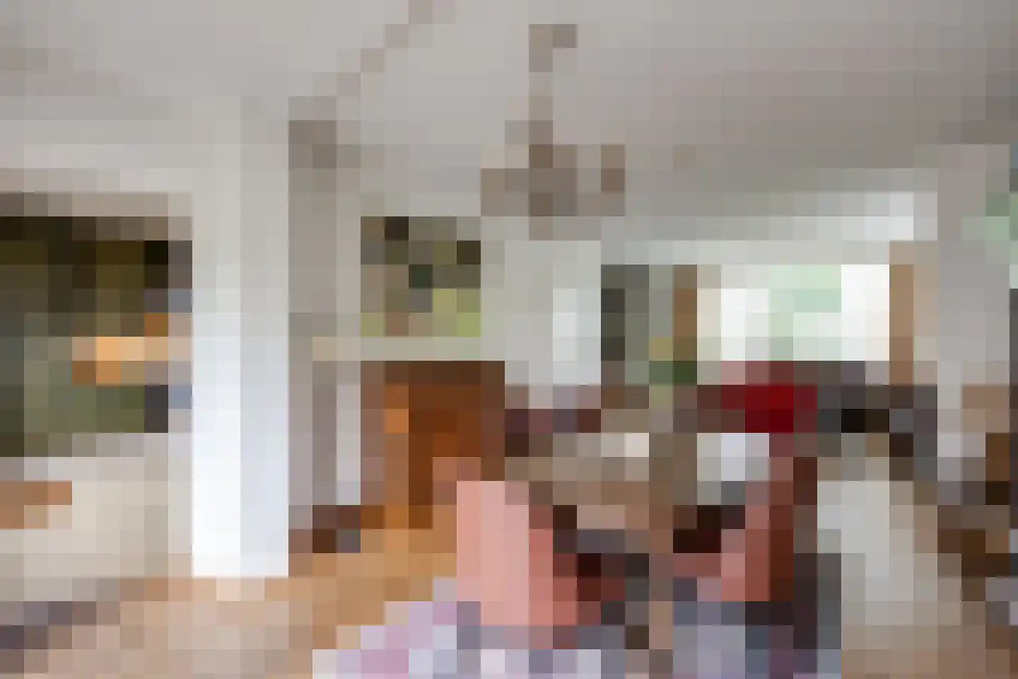 Pijlakker 16 Udenhout thumbnail 21
