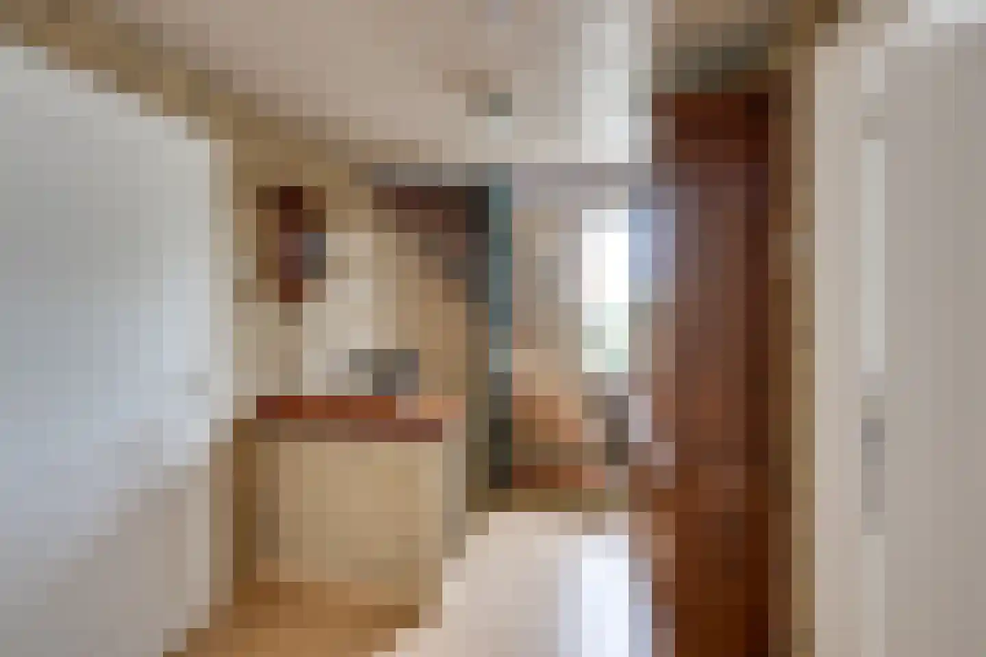 Pijlakker 16 Udenhout thumbnail 25