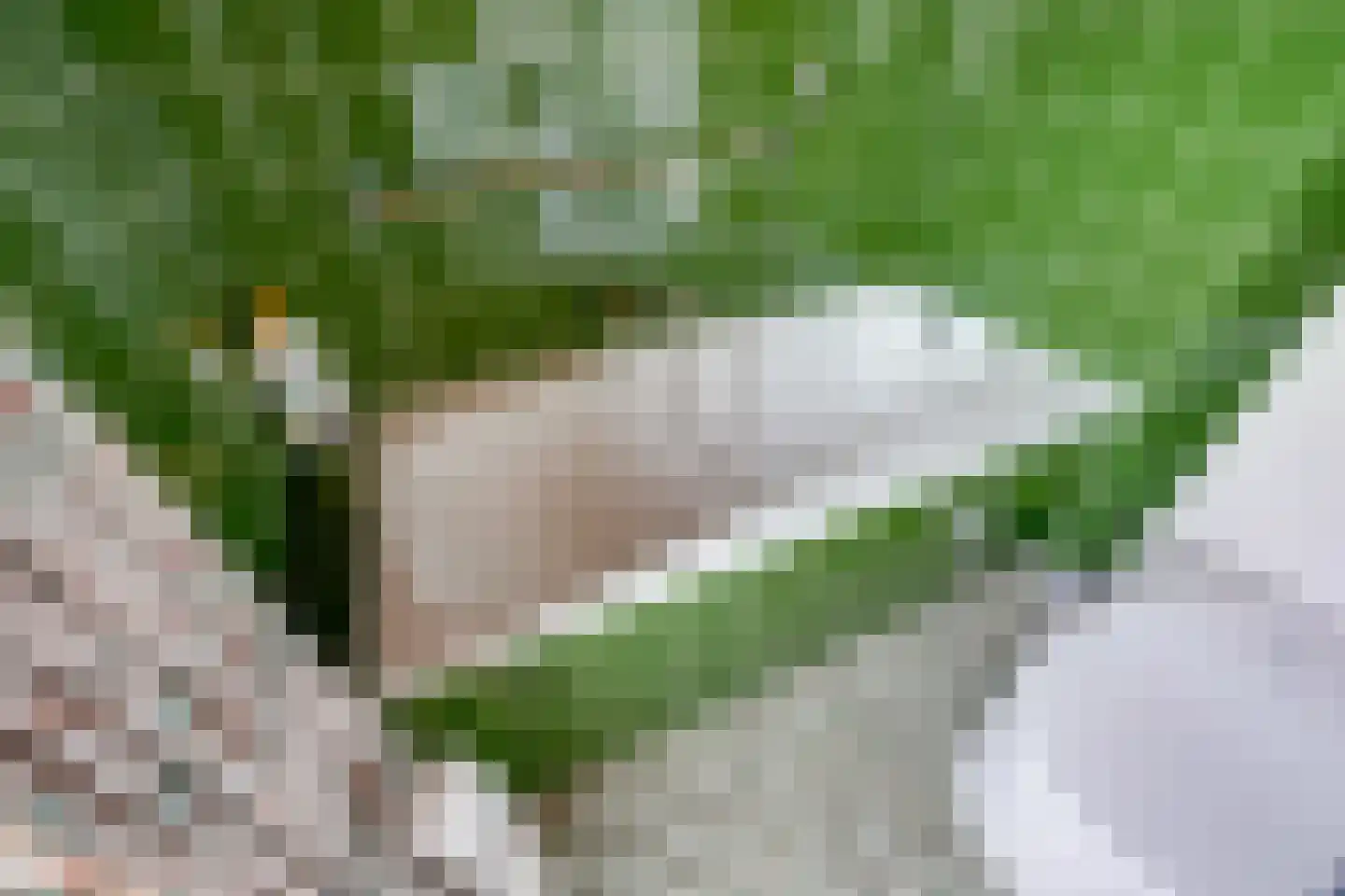 Pijlakker 16 Udenhout thumbnail 36