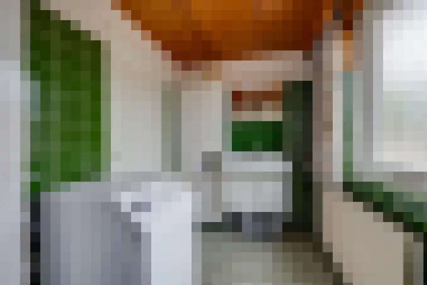Pijlakker 16 Udenhout thumbnail 37