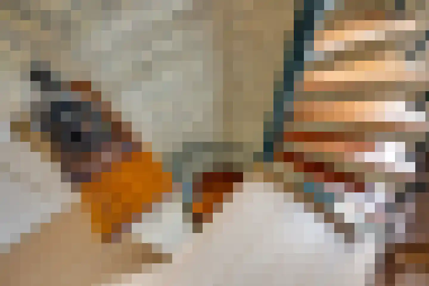 Pijlakker 16 Udenhout thumbnail 41