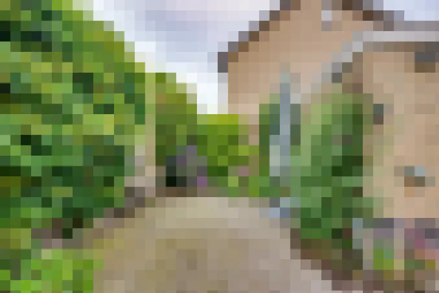 Pijlakker 16 Udenhout thumbnail 52