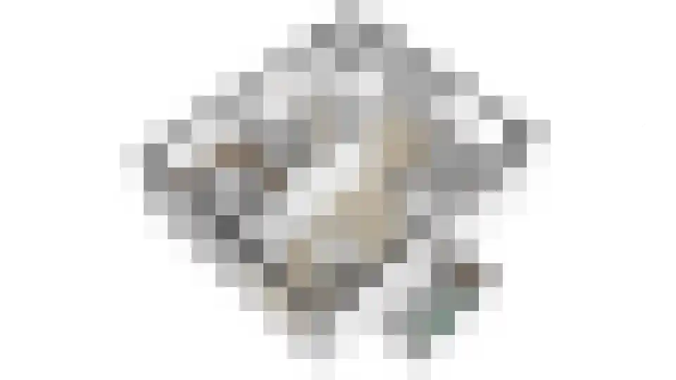Pijlakker 16 Udenhout thumbnail 58