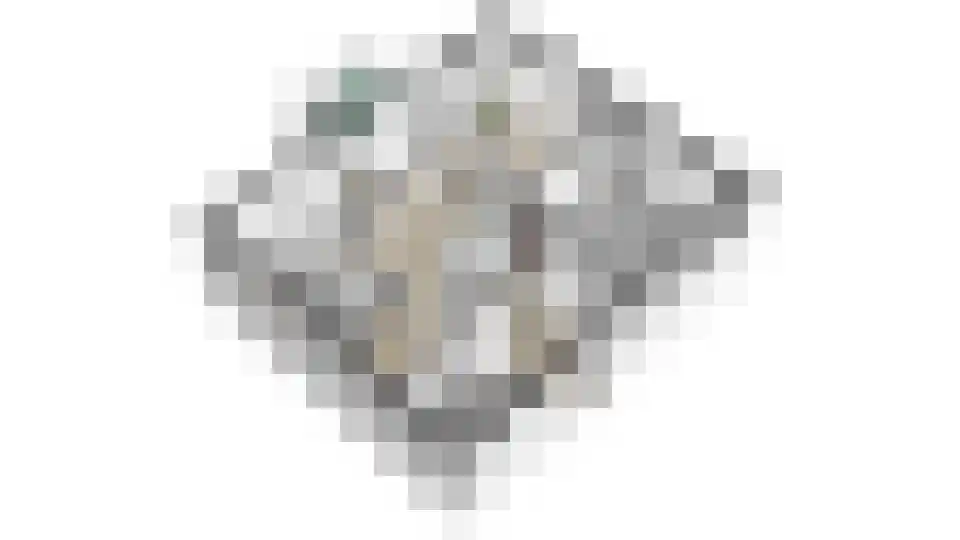 Pijlakker 16 Udenhout thumbnail 59