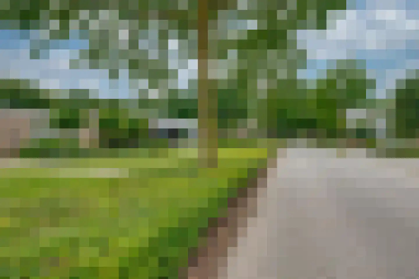 Pijlakker 16 Udenhout thumbnail 6
