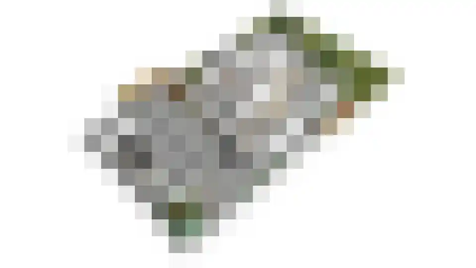 Pijlakker 16 Udenhout thumbnail 70