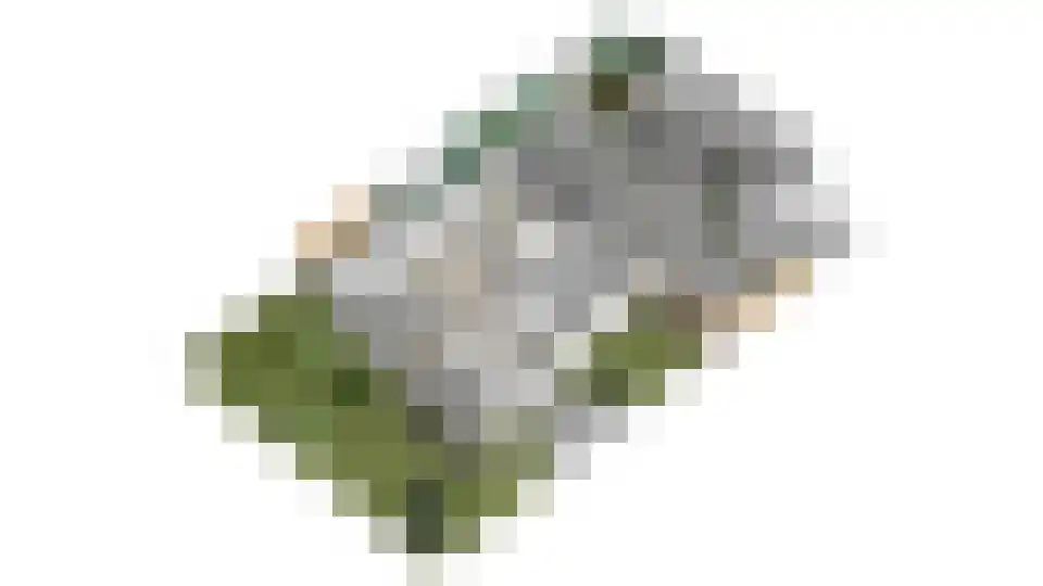 Pijlakker 16 Udenhout thumbnail 71
