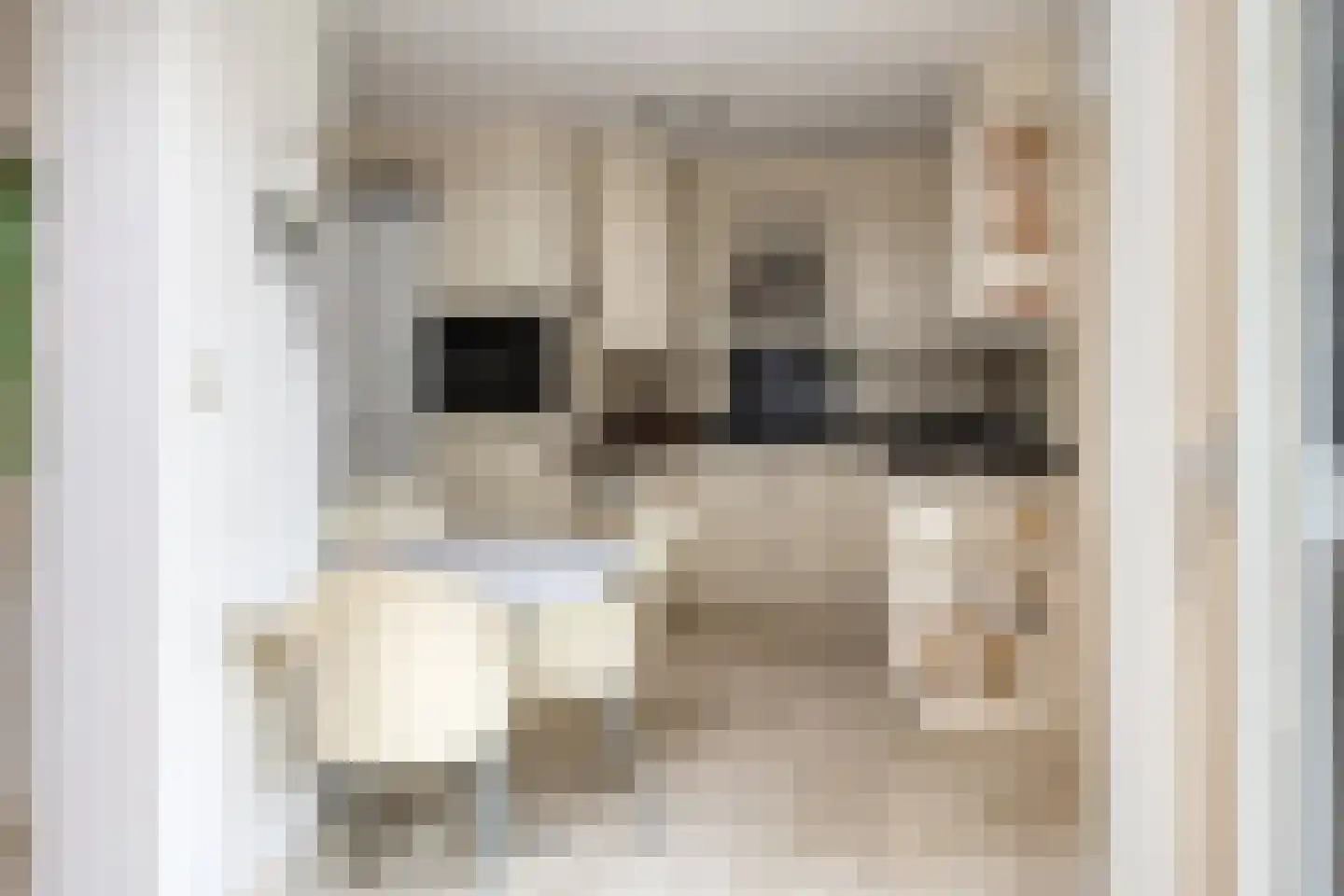 Pijlakker 3 Udenhout thumbnail 11