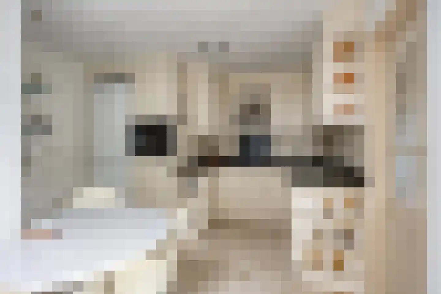 Pijlakker 3 Udenhout thumbnail 12