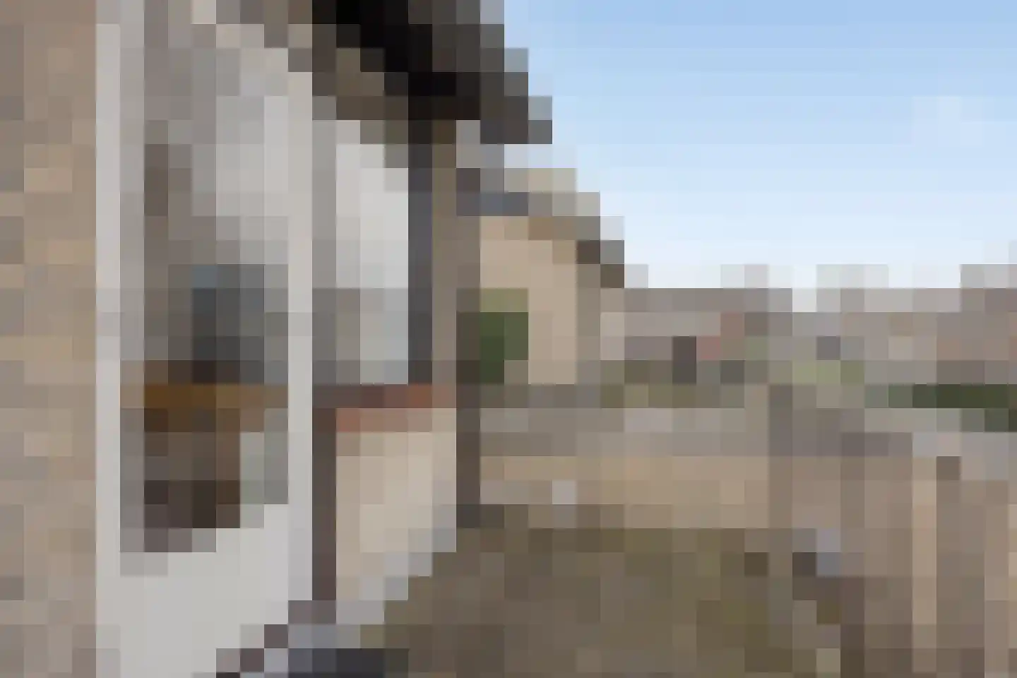 Pijlakker 3 Udenhout thumbnail 31