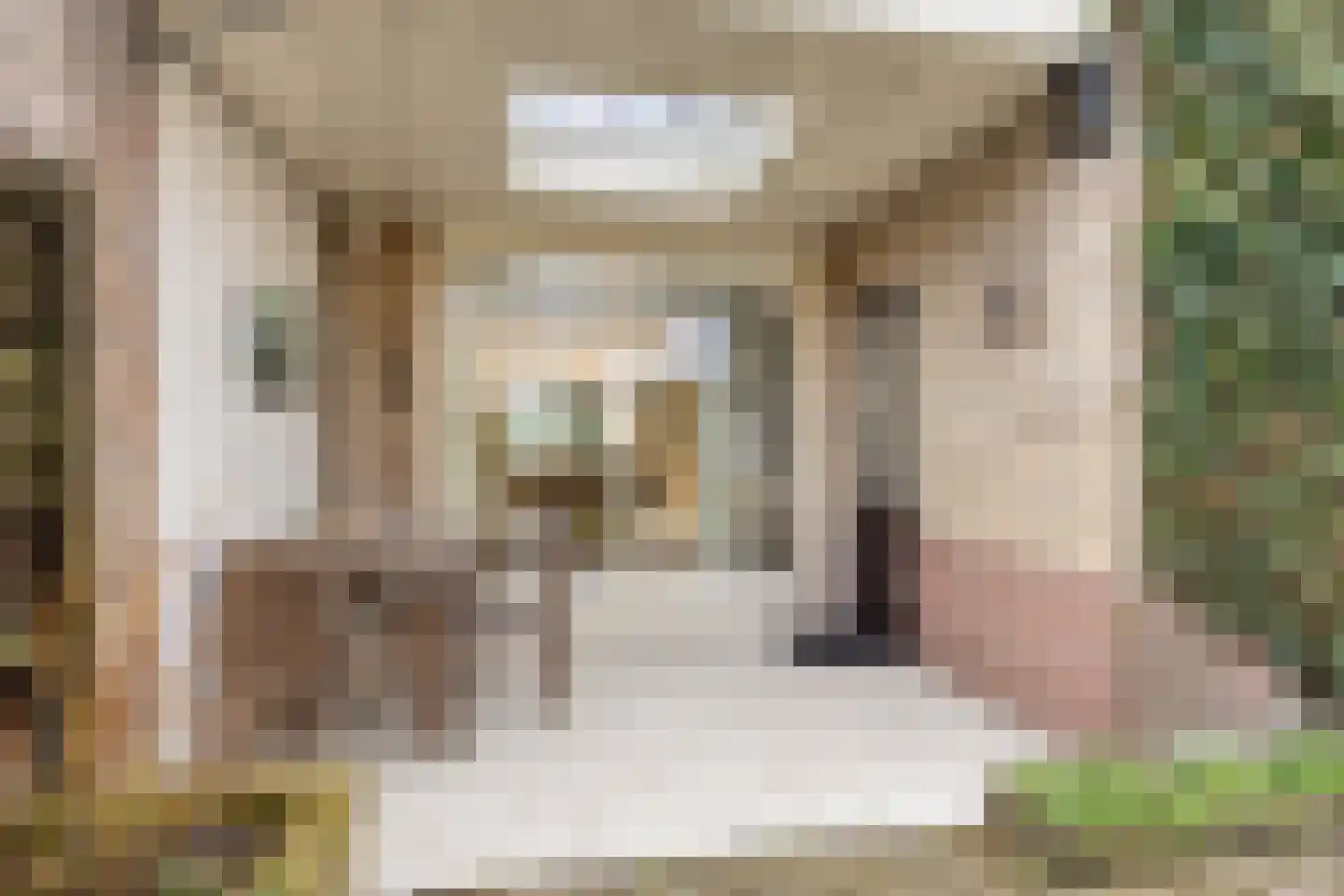 Pijlakker 3 Udenhout thumbnail 37
