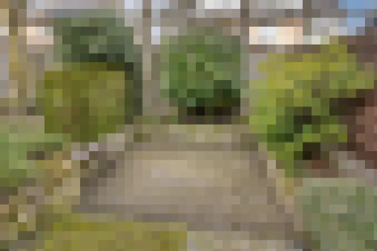 Pijlakker 3 Udenhout thumbnail 39