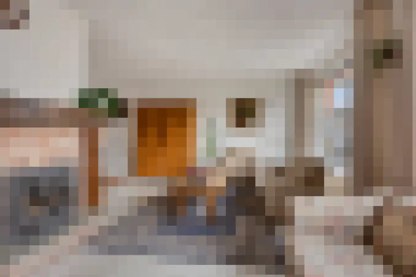 Pijlakker 3 Udenhout thumbnail 8