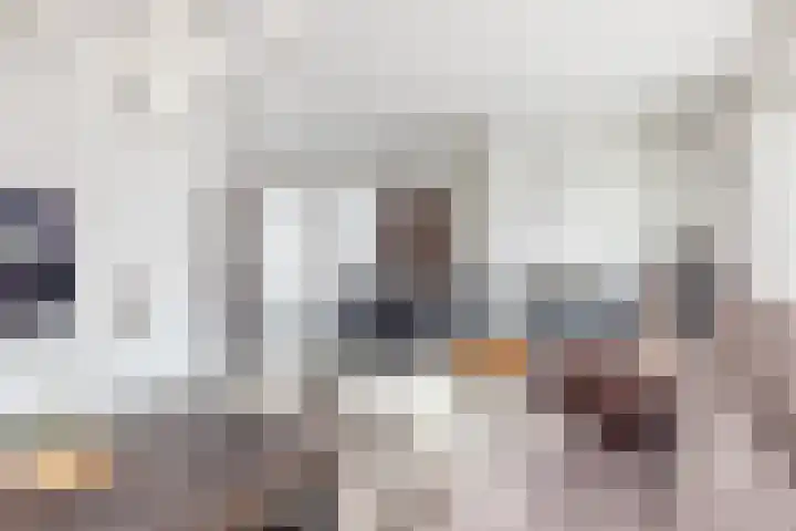 Pijlbrem 4 Brunssum thumbnail 10