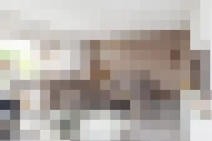 Pijlbrem 4 Brunssum thumbnail 12