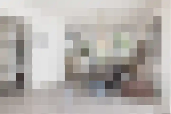 Pijlbrem 4 Brunssum thumbnail 15
