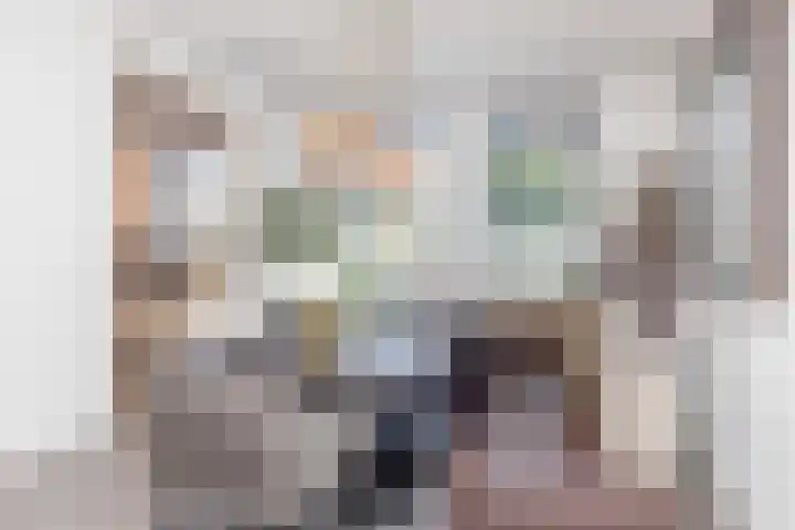 Pijlbrem 4 Brunssum thumbnail 17