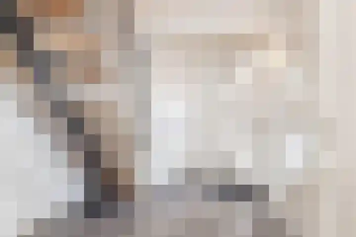 Pijlbrem 4 Brunssum thumbnail 21