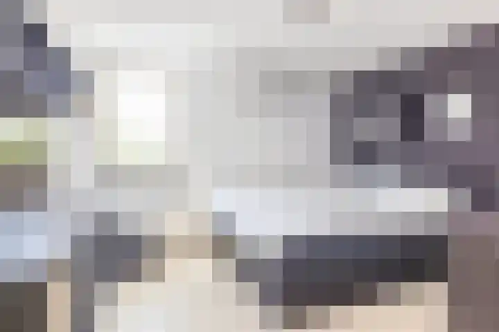 Pijlbrem 4 Brunssum thumbnail 28