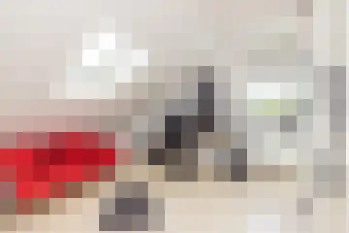 Pijlbrem 4 Brunssum thumbnail 29