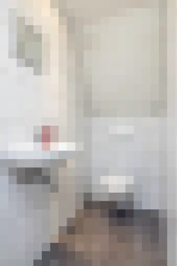 Pijlbrem 4 Brunssum thumbnail 30