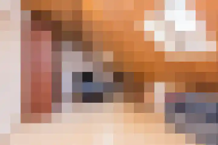 Pijlbrem 4 Brunssum thumbnail 36