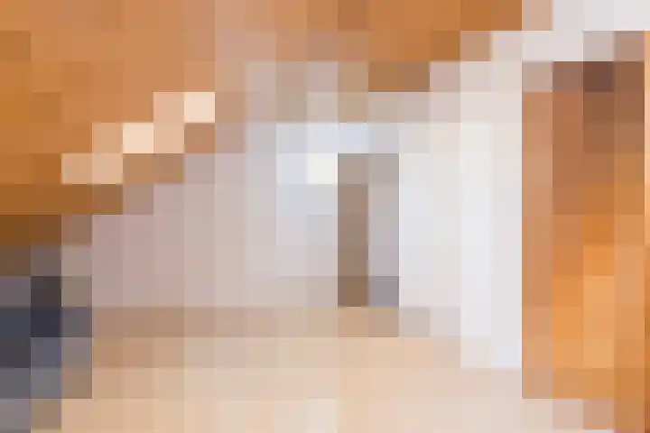 Pijlbrem 4 Brunssum thumbnail 37