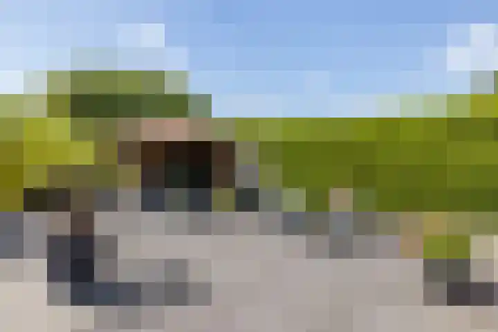 Pijlbrem 4 Brunssum thumbnail 38