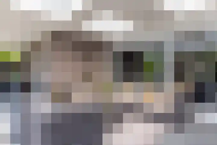 Pijlbrem 4 Brunssum thumbnail 41