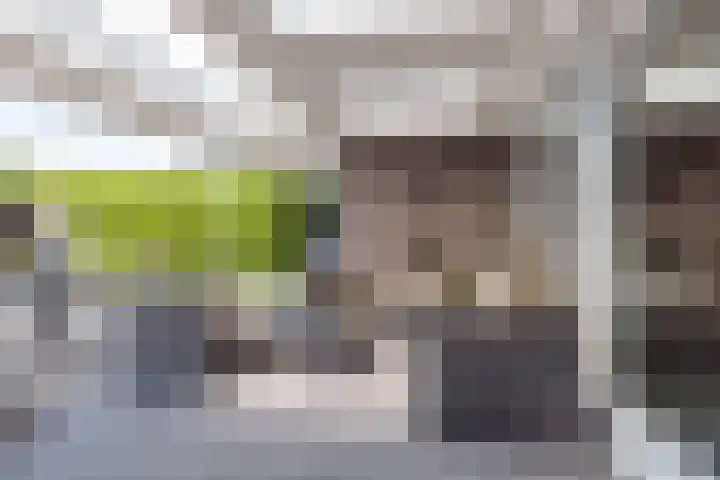 Pijlbrem 4 Brunssum thumbnail 42