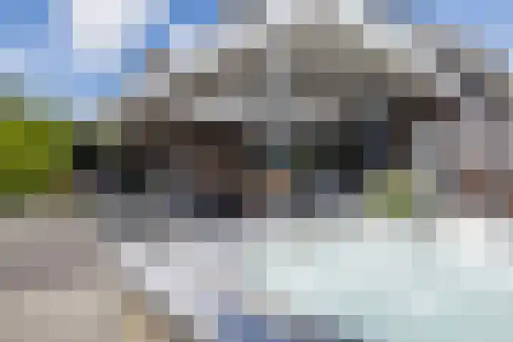Pijlbrem 4 Brunssum thumbnail 43