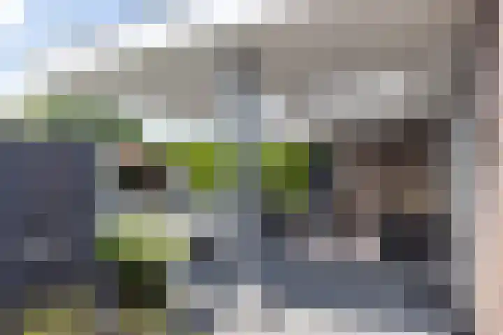 Pijlbrem 4 Brunssum thumbnail 44