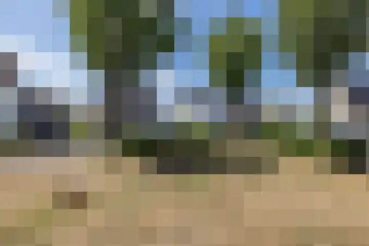 Pijlbrem 4 Brunssum thumbnail 57