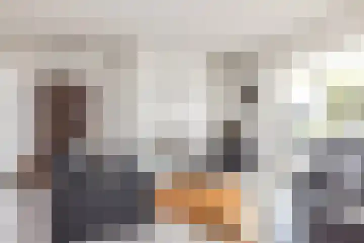 Pijlbrem 4 Brunssum thumbnail 7