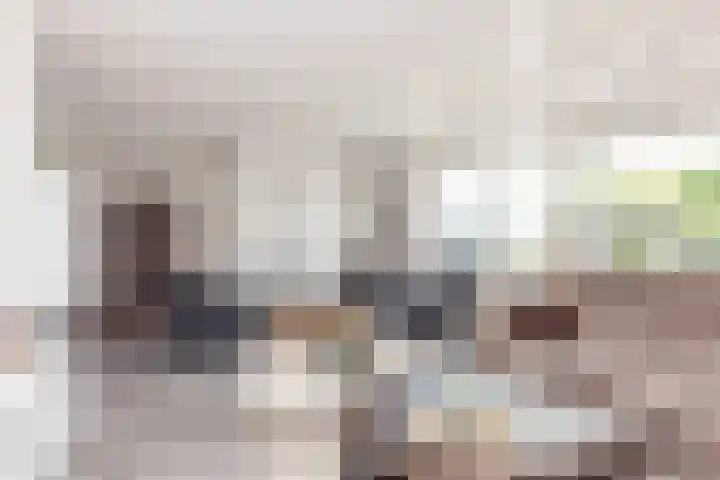 Pijlbrem 4 Brunssum thumbnail 8