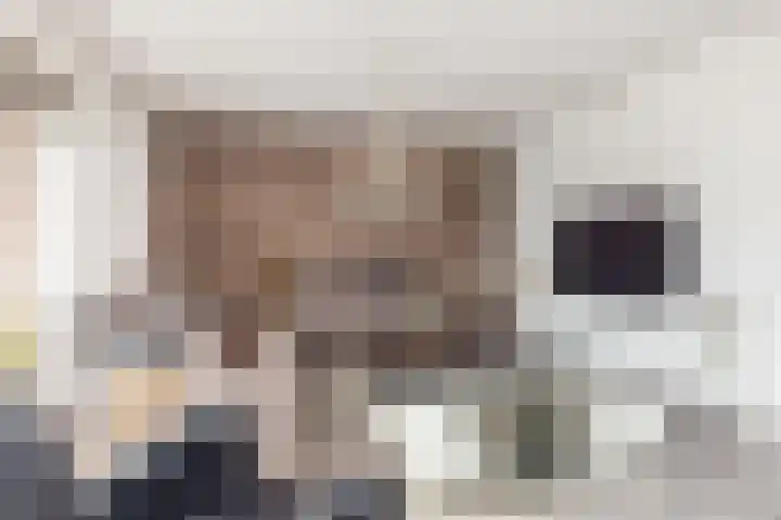 Pijlbrem 4 Brunssum thumbnail 9