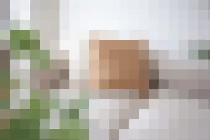 Pijlemeeth 29 Heiloo thumbnail 12